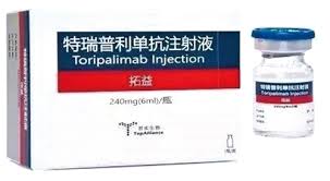 特瑞普利单抗（Toripalimab）